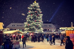 6EBF38D6-AA9F-4E2D-9673-6B2CAC7A48F4