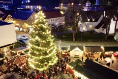 dji_fly_20221203_164218_318_1670084951631_photo_optimized