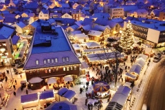 dji_fly_20221208_163732_409_1670514793469_photo_optimized